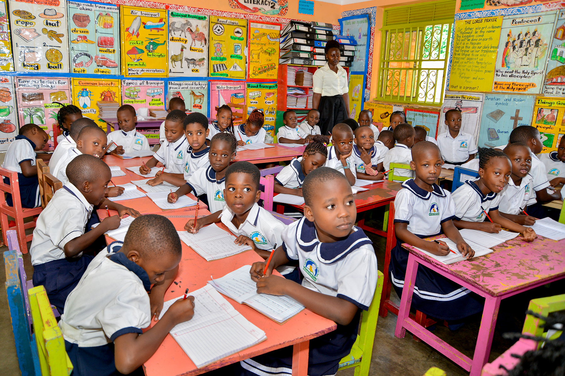 Primary One